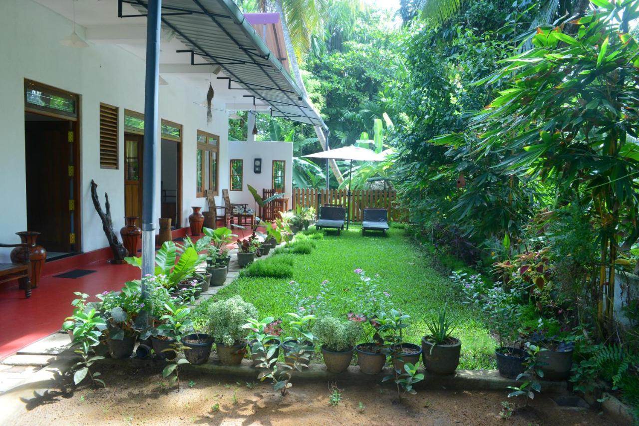 Gold Sand Resort Bentota Exterior photo