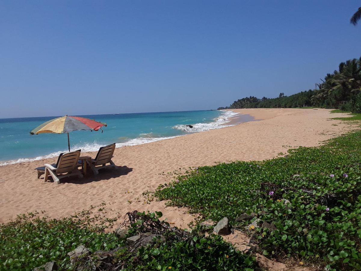 Gold Sand Resort Bentota Exterior photo